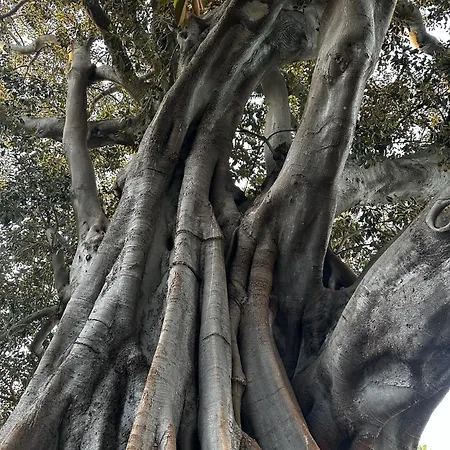 Palacete De La Alameda Inn Cadiz
