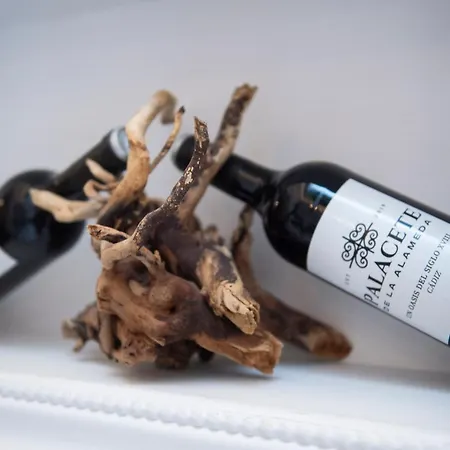 Мини-отель Palacete De La Alameda