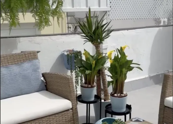 Мини-отель Palacete De La Alameda Кадис