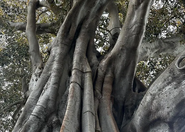 Palacete De La Alameda - Adults Only- Kro Cádiz